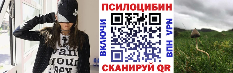ссылка на мегу ссылки  Новозыбков  Галлюциногенные грибы MAGIC MUSHROOMS  даркнет сайт 