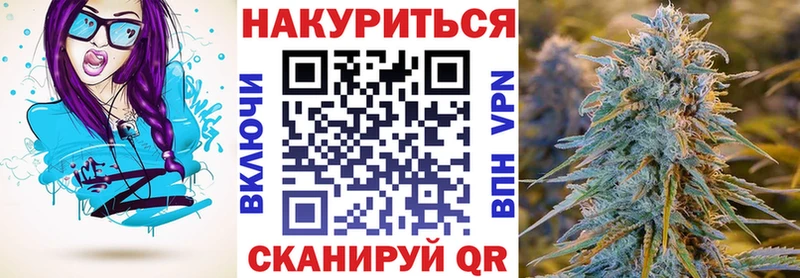 Марихуана сатива  где продают   Новозыбков 
